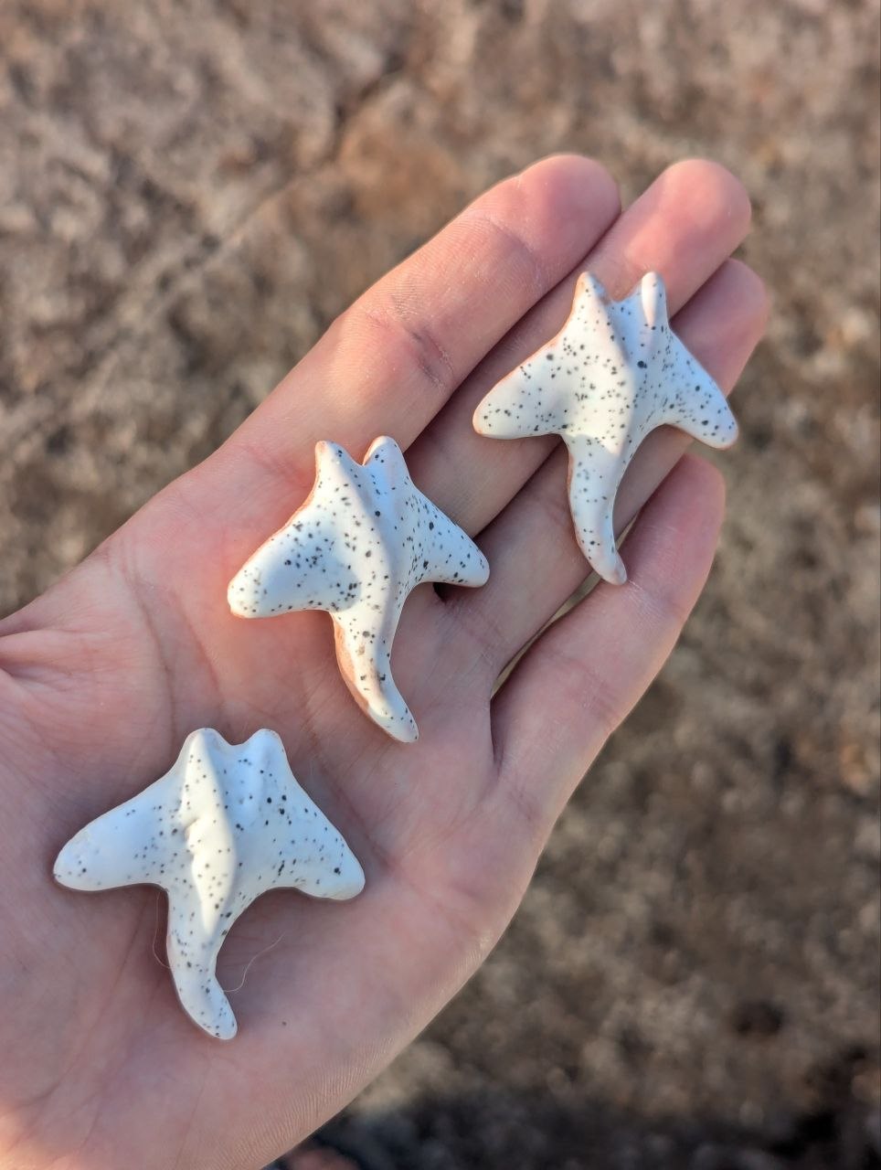 Stingray / Flower — Magnet / Pin / Brooch / Pendant — photo 2