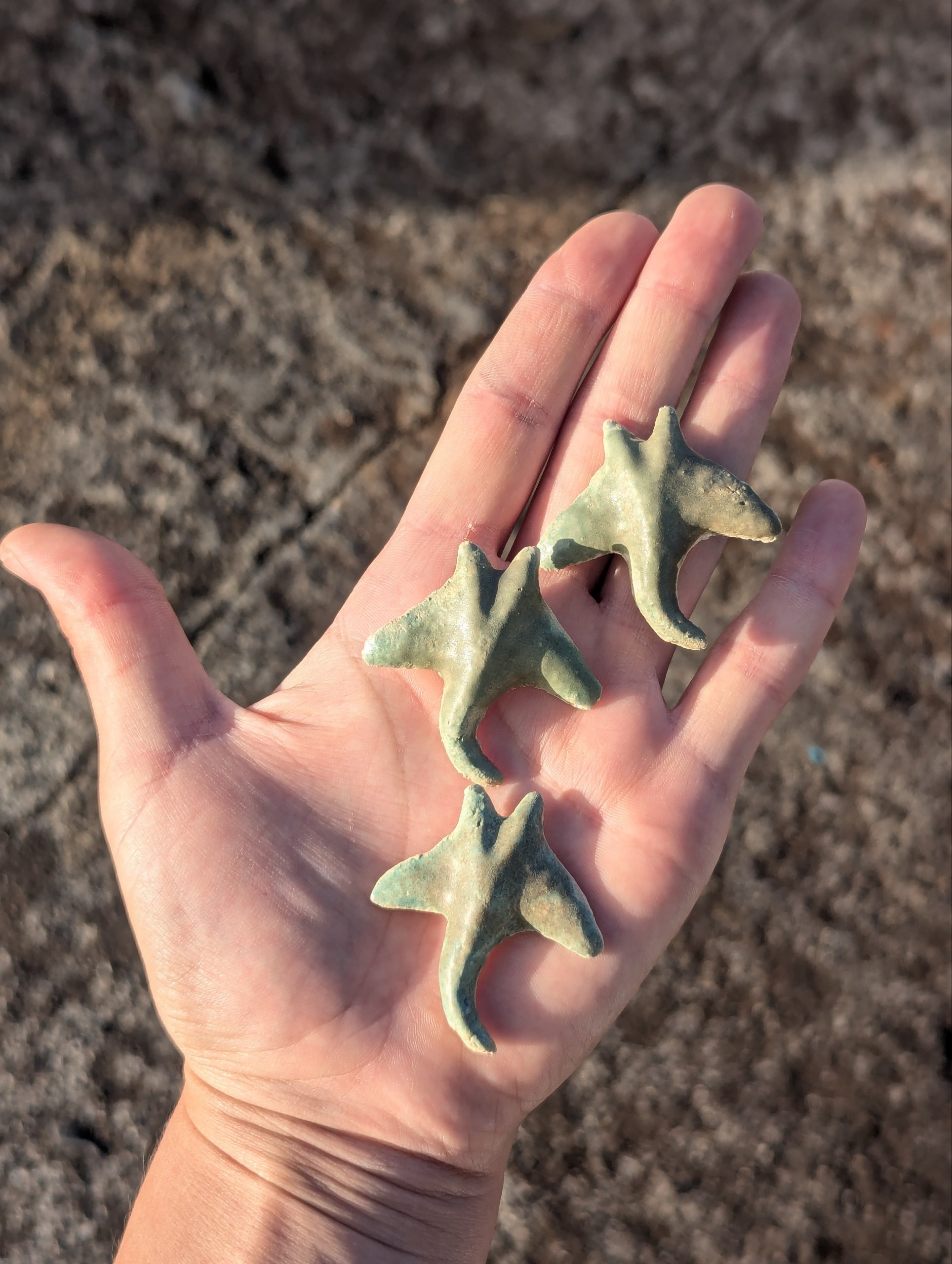 Stingray / Flower — Magnet / Pin / Brooch / Pendant — photo 4
