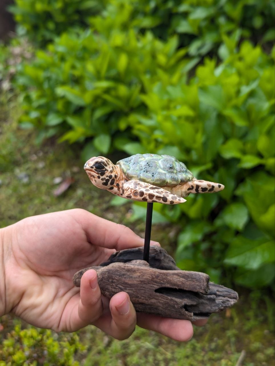 Ceramic Turtle — Driftwood Stand — 2
