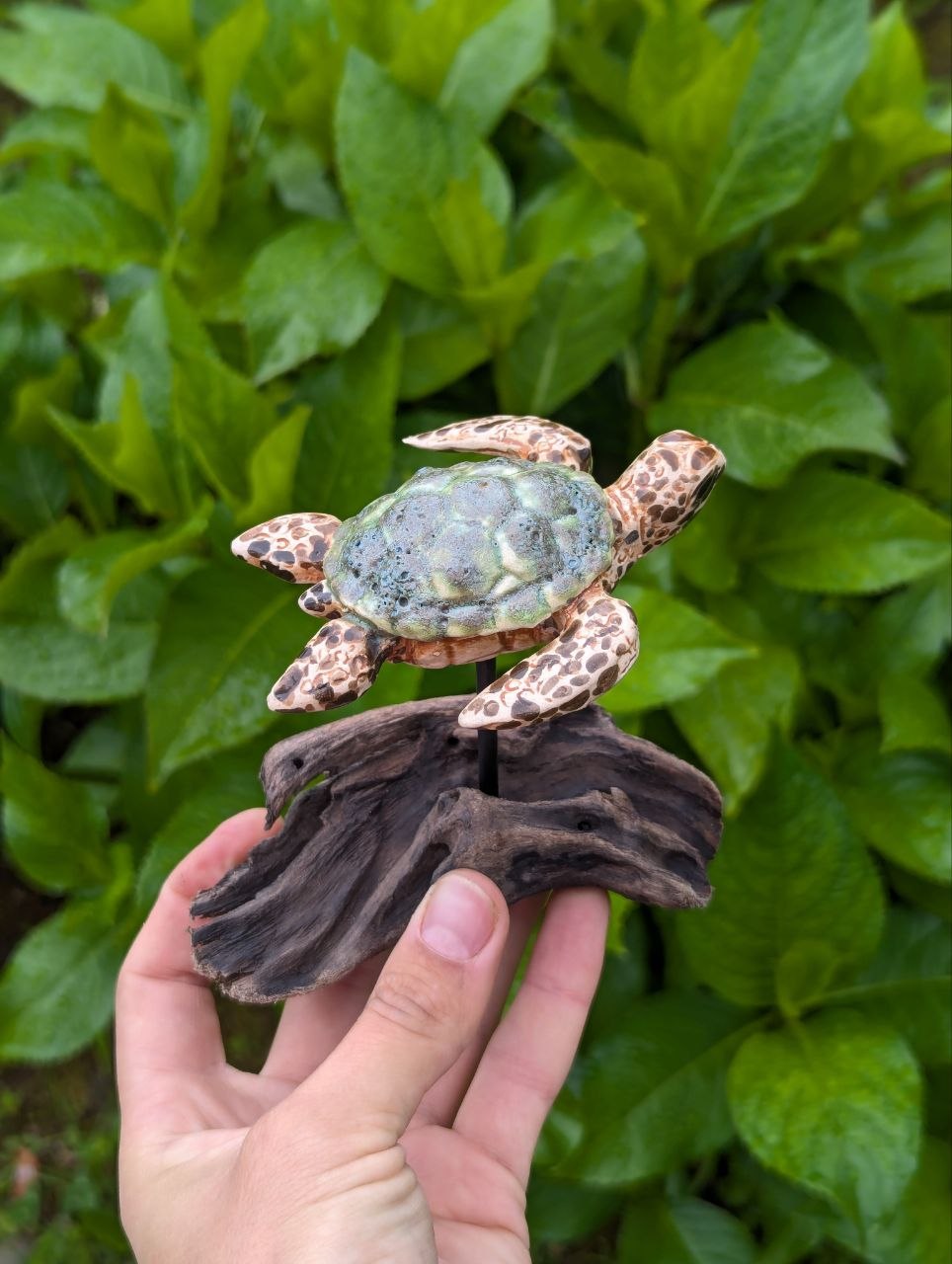 Tartaruga Cerâmica — Suporte de Madeira à Deriva