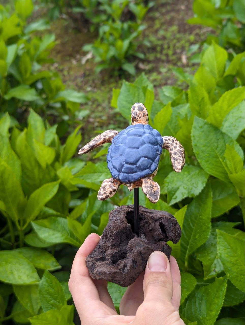 Ceramic Turtle — Driftwood Stand — 4