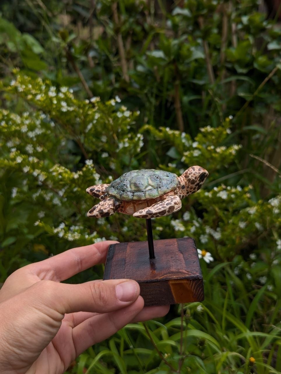 Tartaruga Cerâmica — Suporte de Madeira