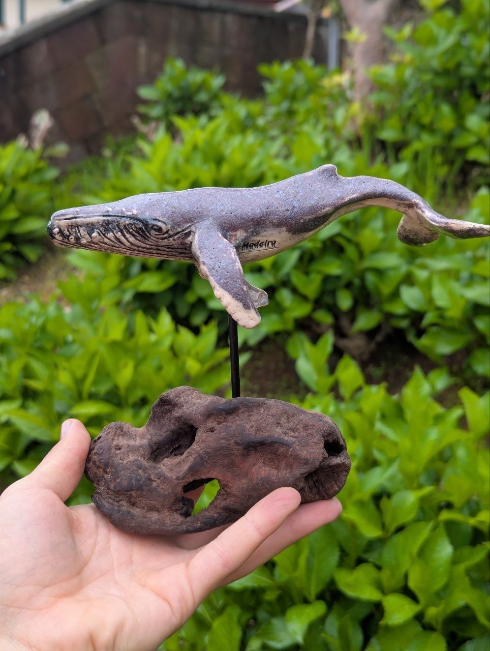 Medium Ceramic Whale — Driftwood Stand — photo 3
